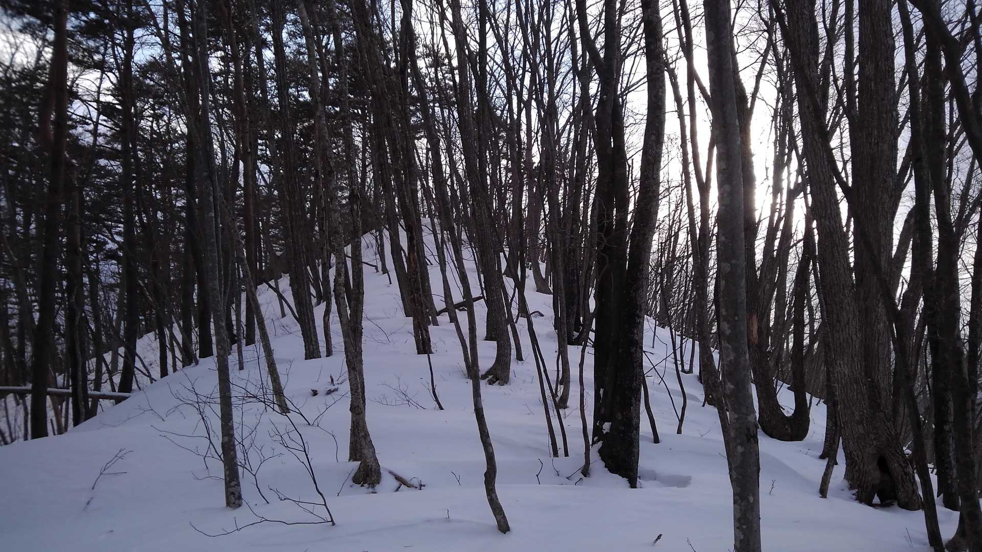 もう少しで山頂▲