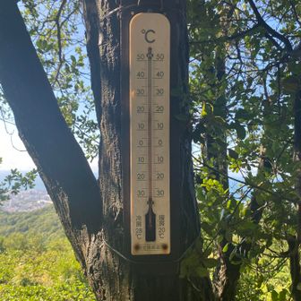 22.5℃＠東山