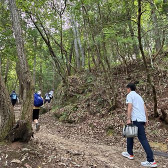 道は綺麗に整備されてスニーカーでも安心