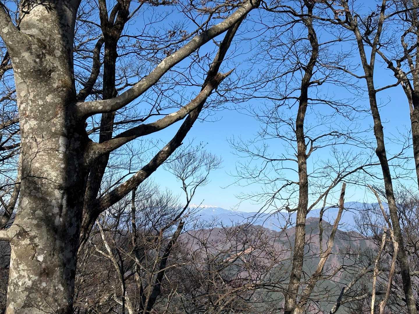 八ヶ岳が見えた！