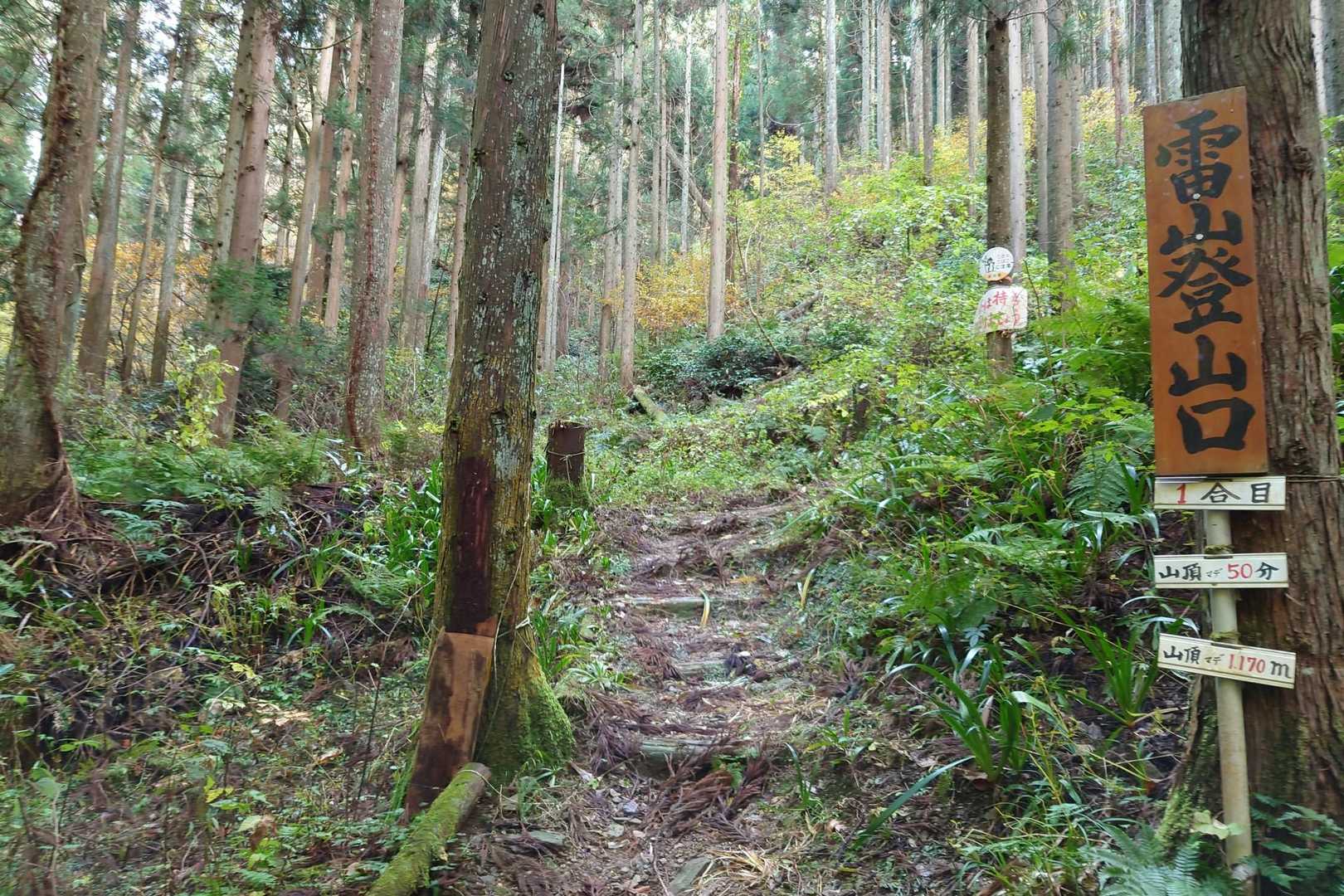 かやの木山 周回コースの写真