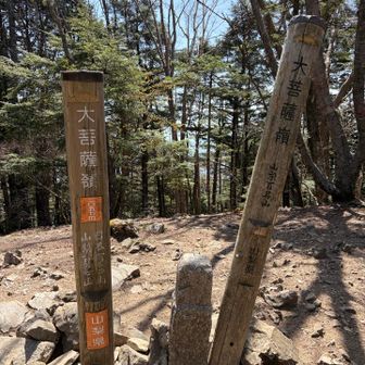 間違いない大菩薩嶺の頂上です。何気に最高標高更新なのと、YAMAPの獲得標高10万メートル達成です！