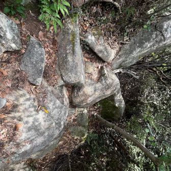 久しぶりのＢコースで下山