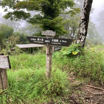 檜洞丸山頂で13時ちょうどです🕰️
日中の活動時間も少なくなってしましたので、
すぐに引き返します→