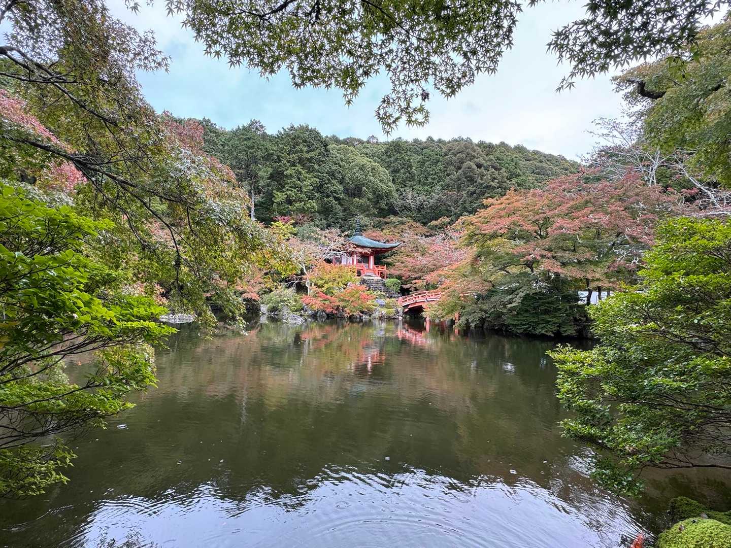 弁天池は紅葉が綺麗です🍁
紅葉が始まりました♪