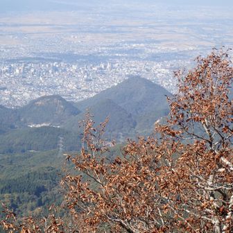千歳山方向