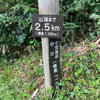 下山途中にあるピーク