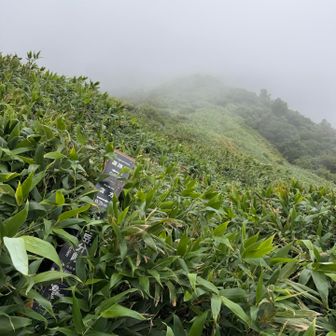 大甲山への分岐
登りは看板に気づかなかった。