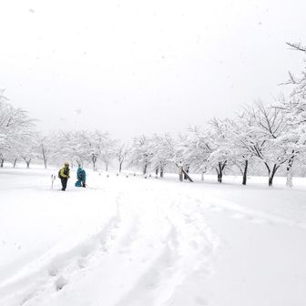 友遊小屋の皆さんと同時期にスタート😊　皆さん小屋で宴会かな？😁　会長に上迄車上げたと行ったらびっくりしてた(笑)