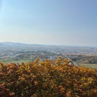 展望台から