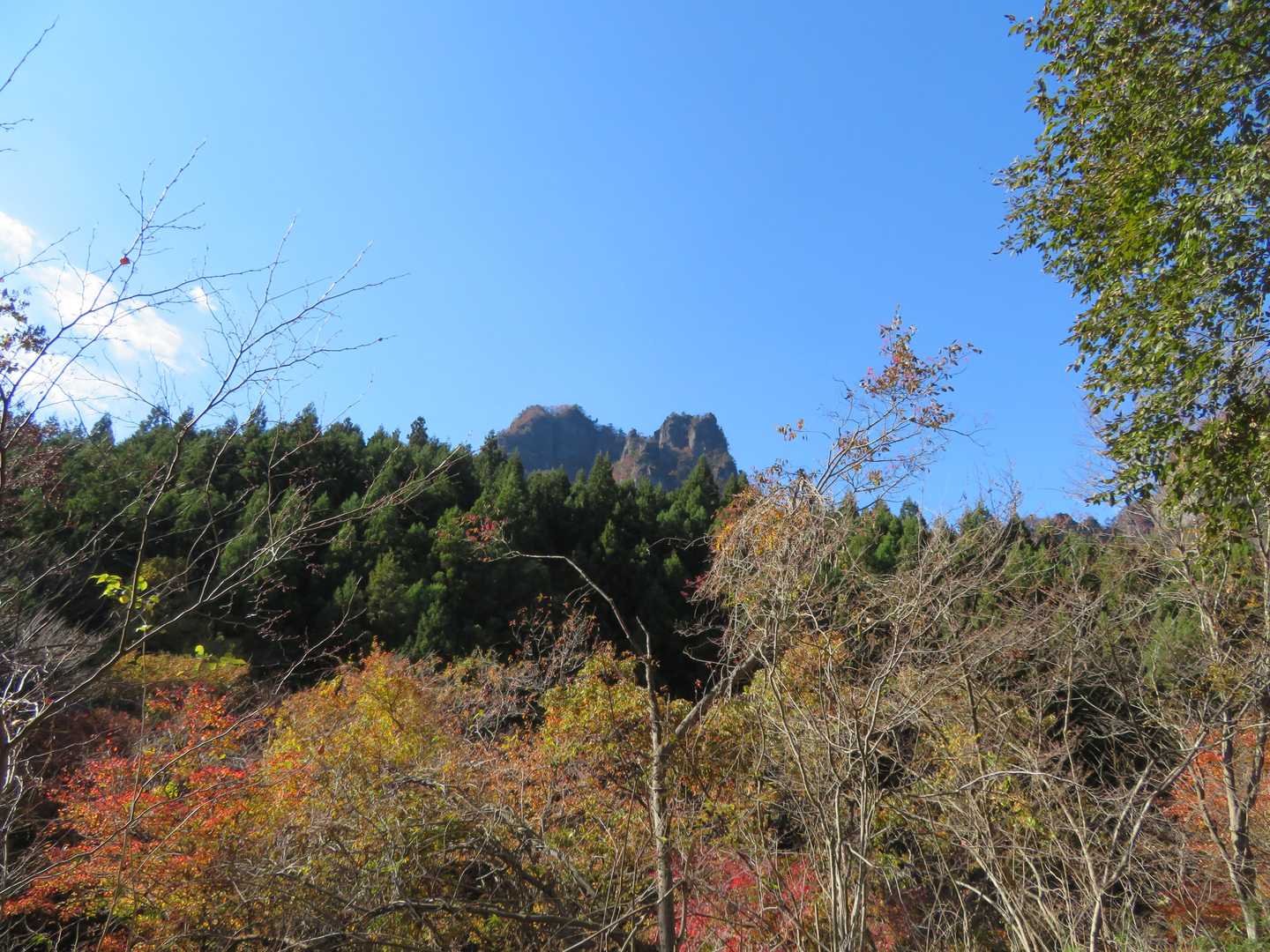 丁須の頭登山口-丁須の頭-風穴尾根の頭-三方境-谷急山-女 周回コースの写真