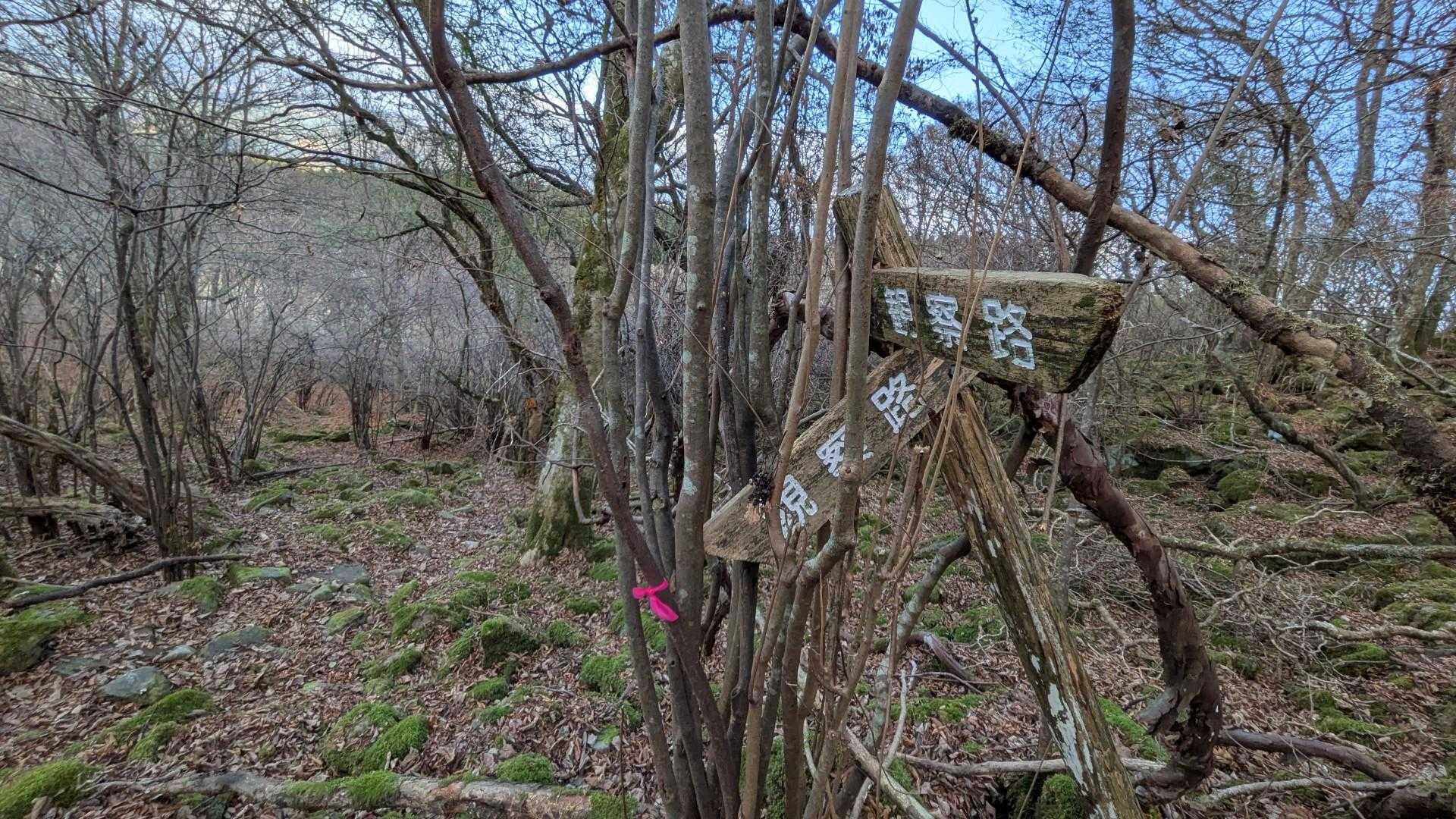 わかりにくいので迷わないように〜