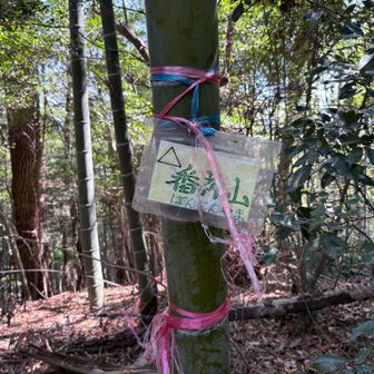 番神山とーちゃく
ここの分岐分からなくて通り過ぎてしまいました
その前に朝日山も通り過ぎてピーク取り忘れ🥹