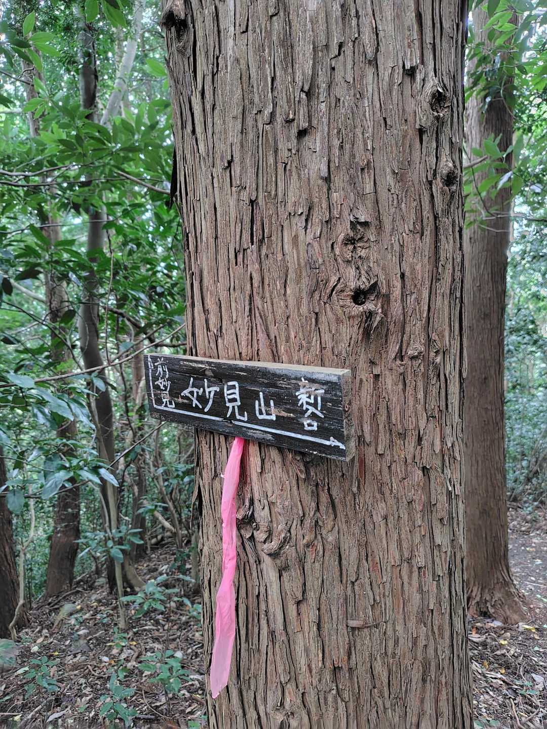 鞍手登山口-妙見山登山口-妙見山-六ヶ岳 周回コースの写真