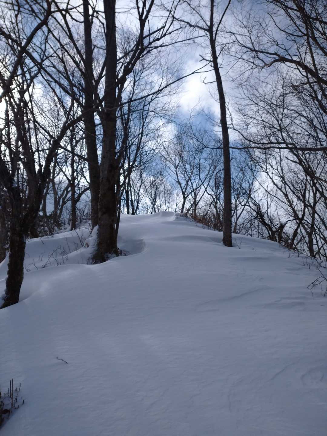 笠森山山頂