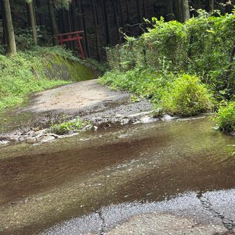 道が川になってるので、靴底洗いがてら通る。
色々スリリングだったけど、良い経験が沢山出来ました‼️