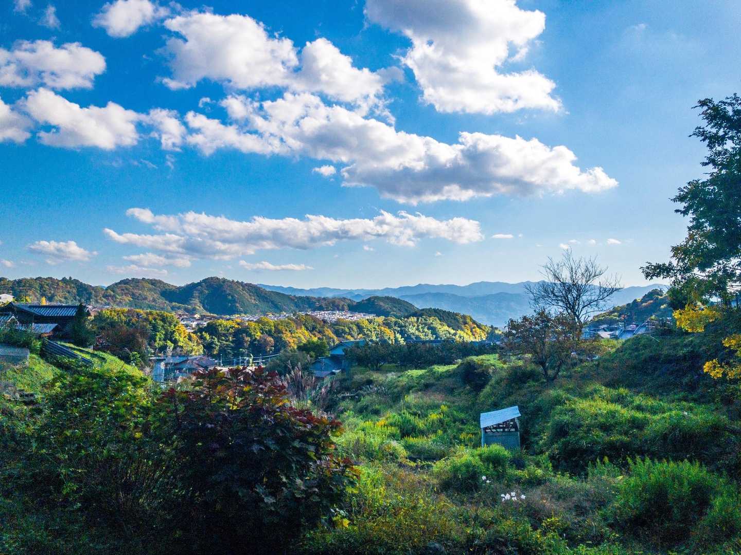めっちゃ良い眺め🤩
岩湧山楽しかった！！