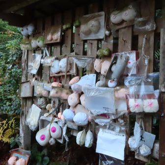 おっぱいがいっぱい