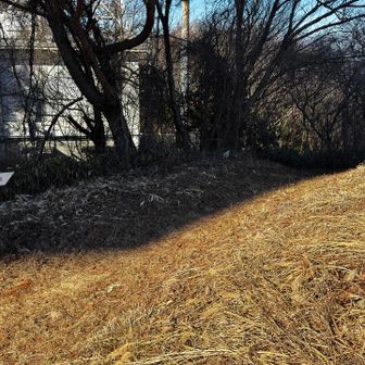 この辺でに出てきます