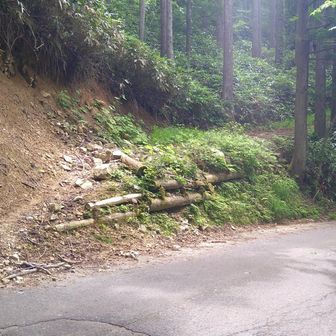 登山口に降りて来ました