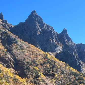 天狗尾根かな