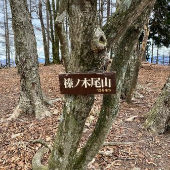 はんのきおやま