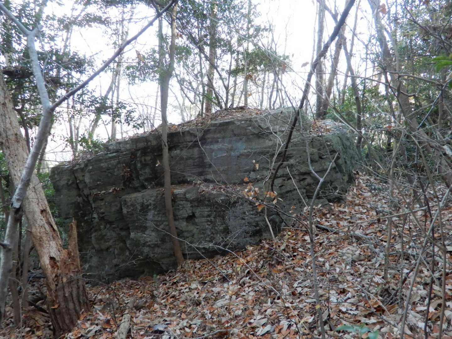 大岩
