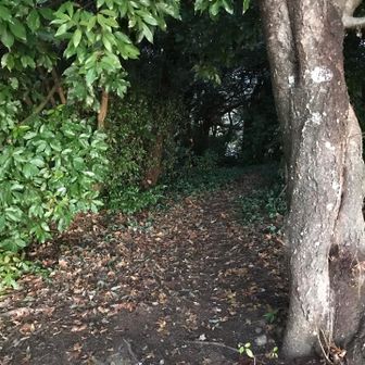 ここから下りられるか？