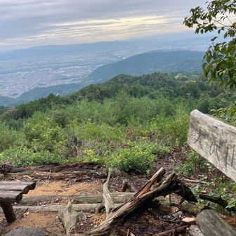大沢山⛰️晴れてたらもっと綺麗なんだろうけど、この程度でも観れて良し👍