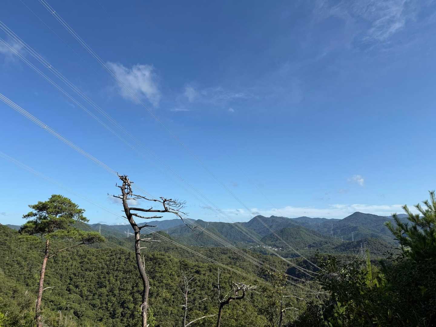 一本松山-鉄塔-大日山 周回コースの写真