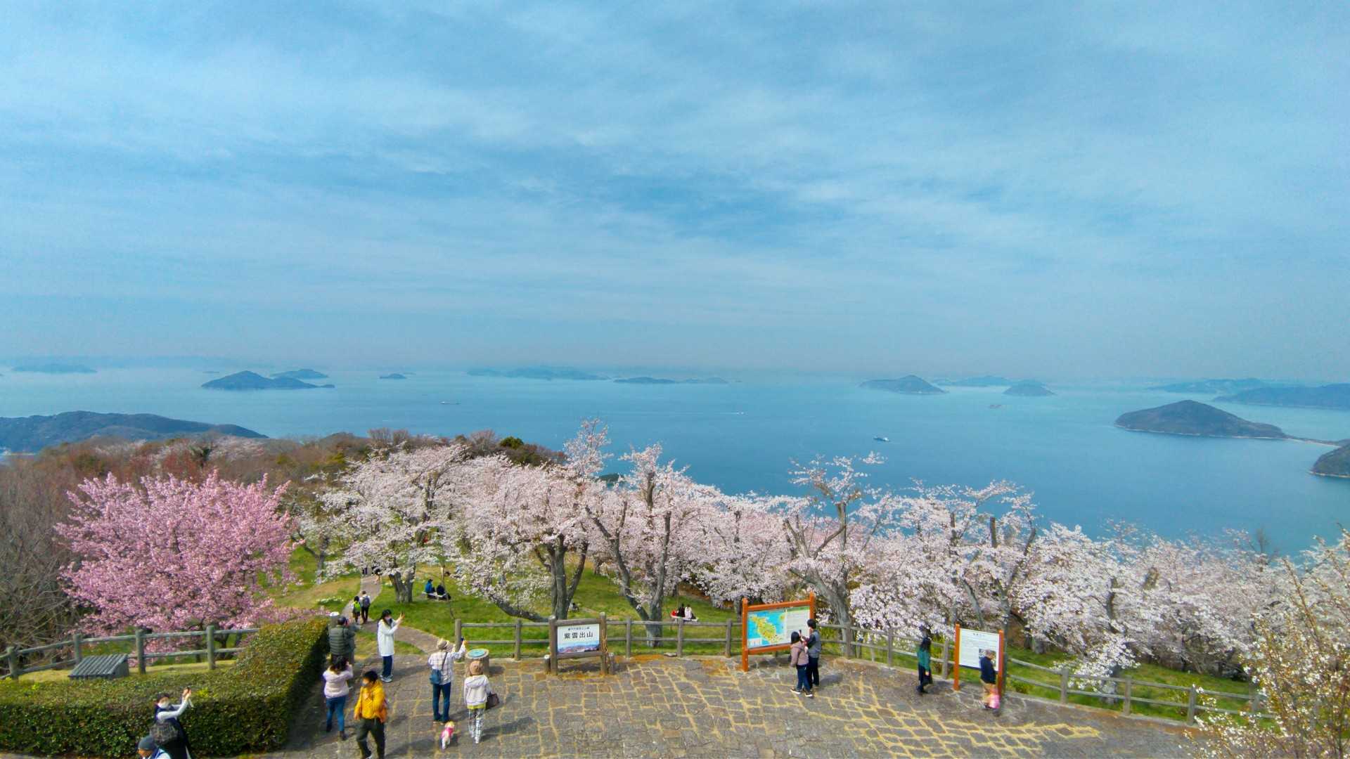 山頂の展望台からの眺め🙂

何度やってきても美しい
桜と島々のコンビネーション✨