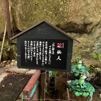 叶仙人🐸