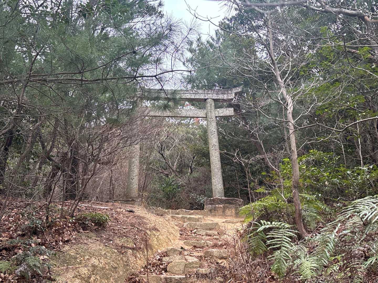 四王司は登山開始した第一号のお山です。
そういえばanmiさんと初めて来たのもここ。