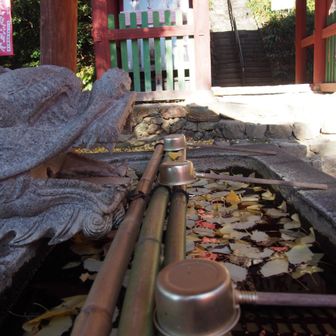 手水には銀杏の落ち葉
山のお寺らしくていいですね