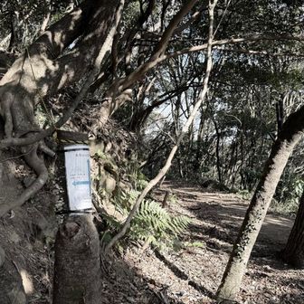 鬼越山分岐。ここから鬼越山にちょこっとだけ登ってみる。