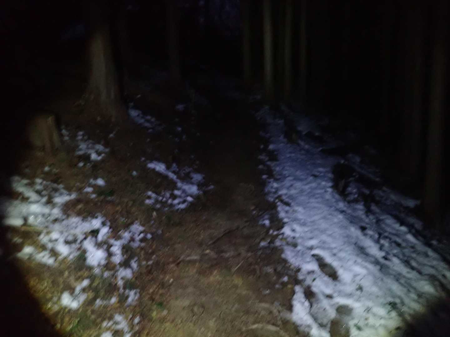 登山道には殆ど雪はありませんでした。