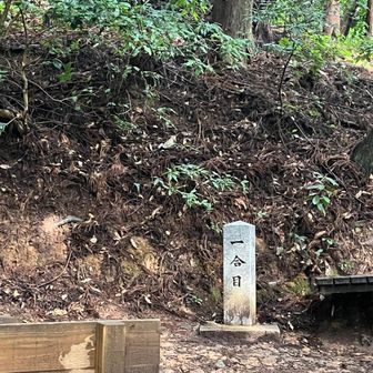 雨上がりということもあるし、標高50メートルからスタートしてるのでとにかく暑い🥵し、何よりも蒸し蒸し
