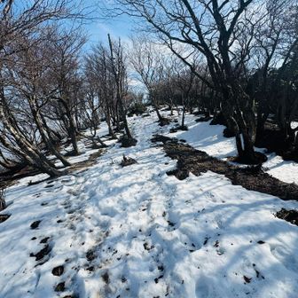 このルートは雪の時は特に人が入らない
積雪が多い時はラッセル覚悟