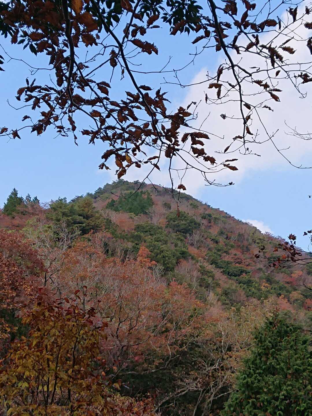 磯砂山の写真