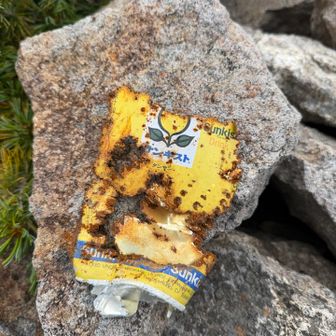 この遺物はどうしたものか？w