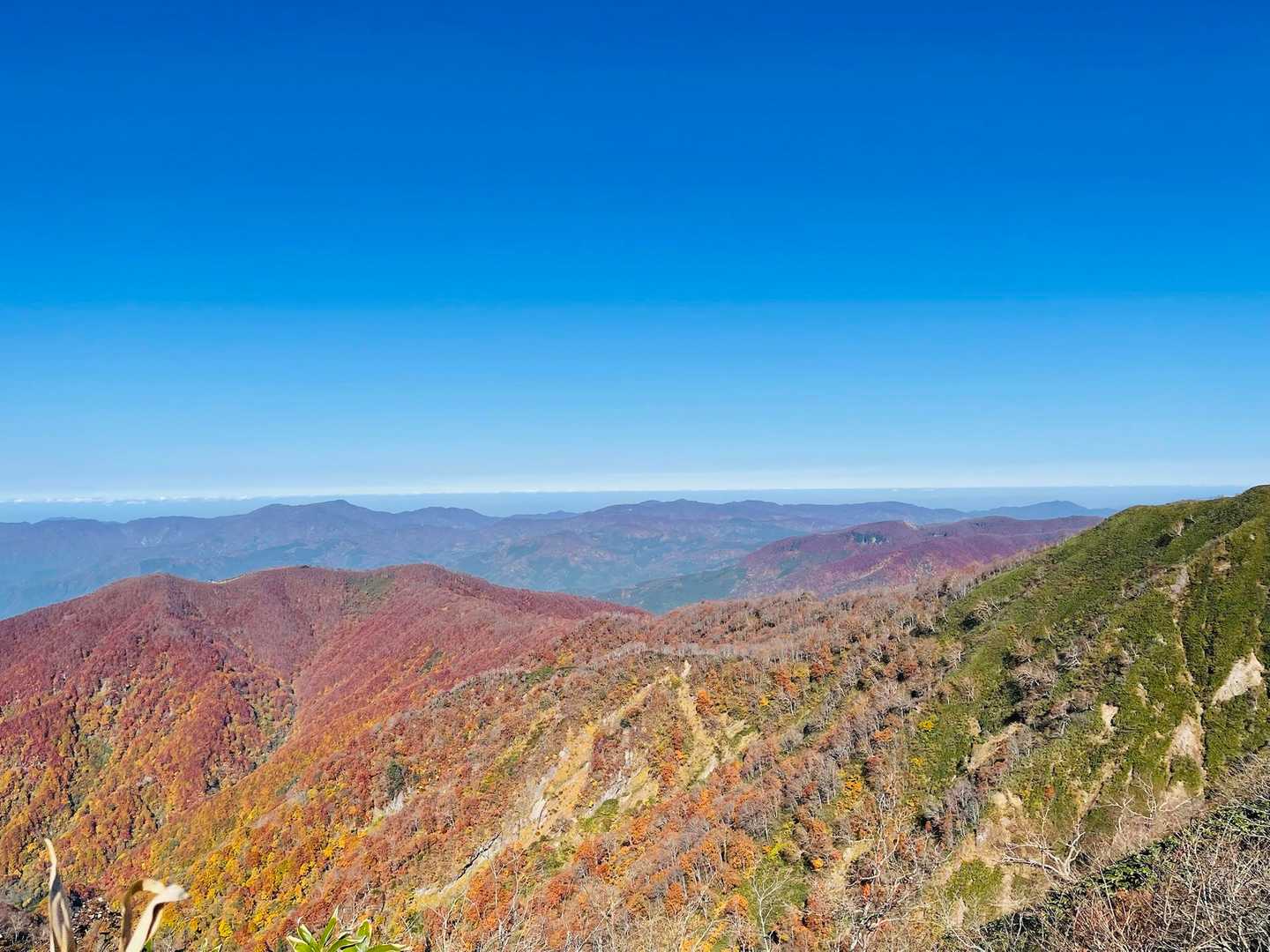 紅葉🍁で真っ赤になっている法恩寺山✨✨
7月に法恩寺山から北岳、経ヶ岳を歩いたことを思い出しながら….稜線を眺めてみる👀