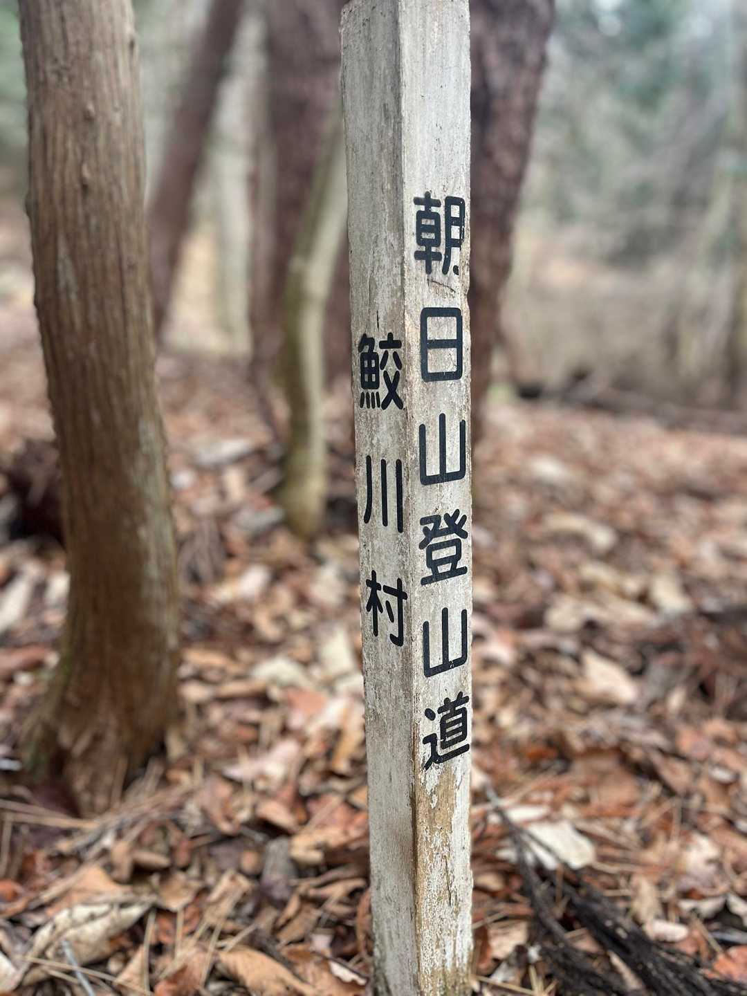 今日は鮫川村に来てみました。