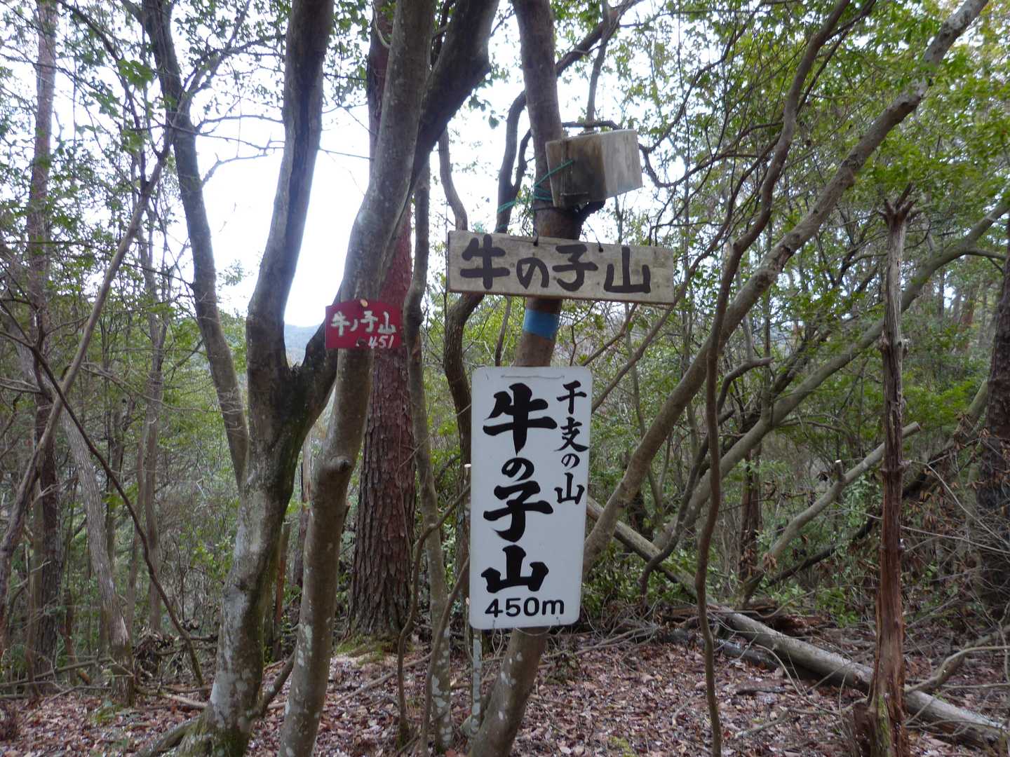 着きました。今日三つ目の山頂です。
