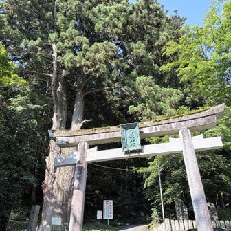 今日は歩いて登ーる！