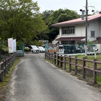 アイスクリームの旗に、惹かれます