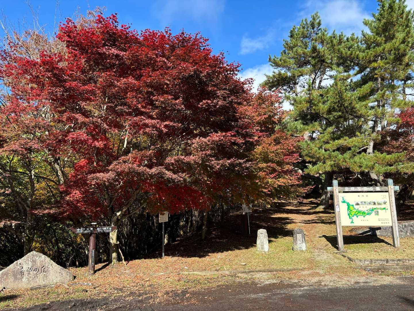 万葉公園、そういうことですね。
歌碑が点々と。