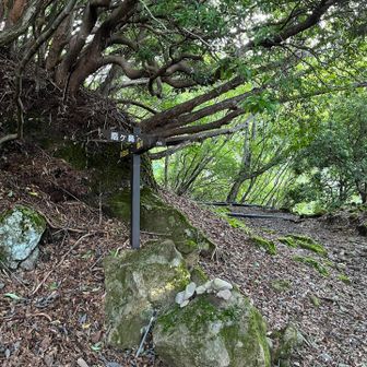 扇ヶ鼻と久住山との分岐