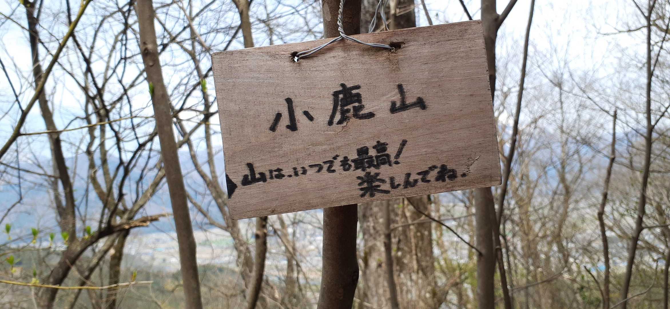 ピークハントの次は本命の天子山へgogo👣