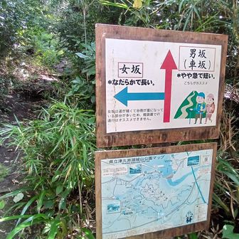 帰りは女坂でぐるっと回り