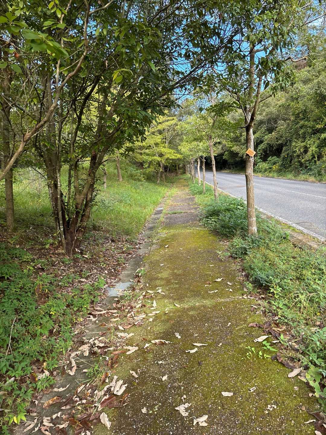 向山-須衛山-見晴台登山口 周回コースの写真
